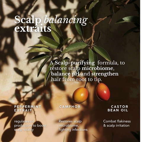 Scalp purifying extrait