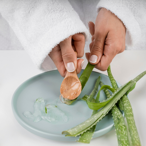 Why Aloe Vera is the Ultimate Summer Essential ingredient