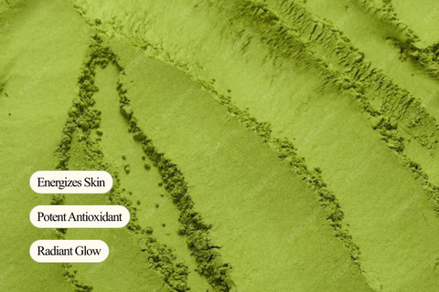 Matcha Tea Extract